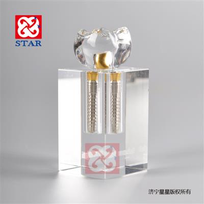 Crystal Implant Model M2019