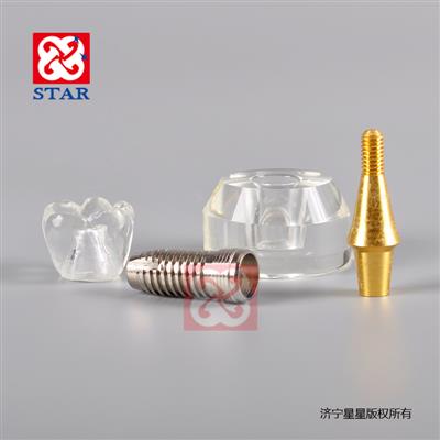 Crystal Implant Model 3*1 M2020