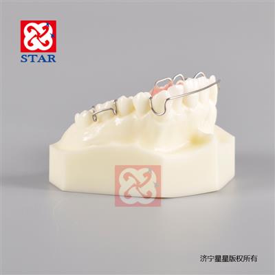 Model with Retainer M3007