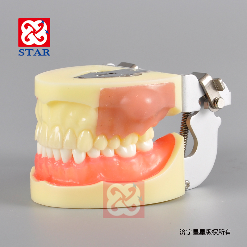 Pus Removal Practice Model M4030