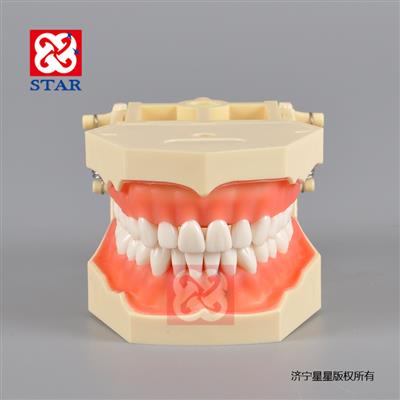 Strandard Model with 32 teeth M8014