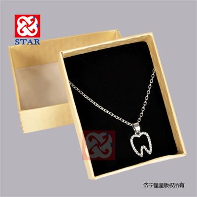 Necklace ZYR4037