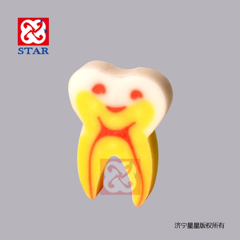 Tooth Shape Eraser ZYR4025