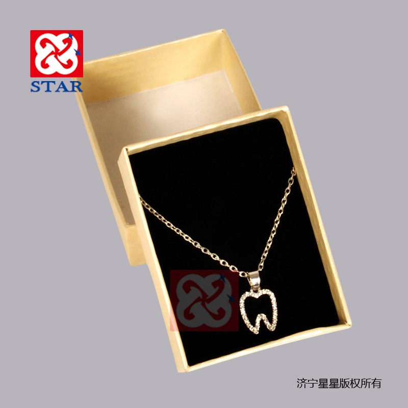 Necklace ZYR4037
